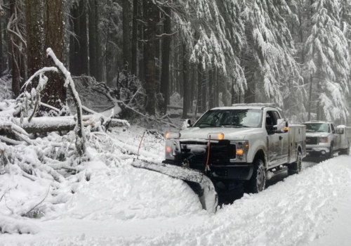 Utility work truck in blister plowing and removing trees from road